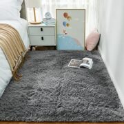 Washable Plush Shag Area Rug for Living Room and Bedroom - Image 3