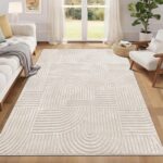 Washable Area Rug for Living Room and Bedroom