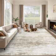 Modern Abstract Area Rug for Living Room and Bedroom
