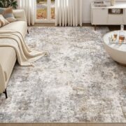Washable Area Rug for Living Room and Bedroom