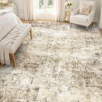Washable Area Rug for Living Room and Bedroom